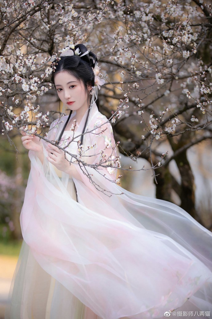 第二十条 封面