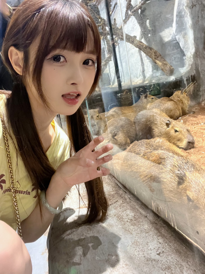 饥饿游戏 封面