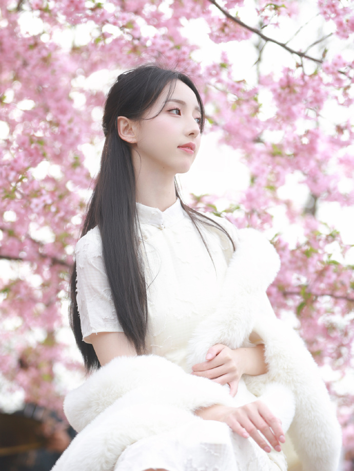 盲井 封面